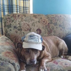 Meet your Posher, Frank